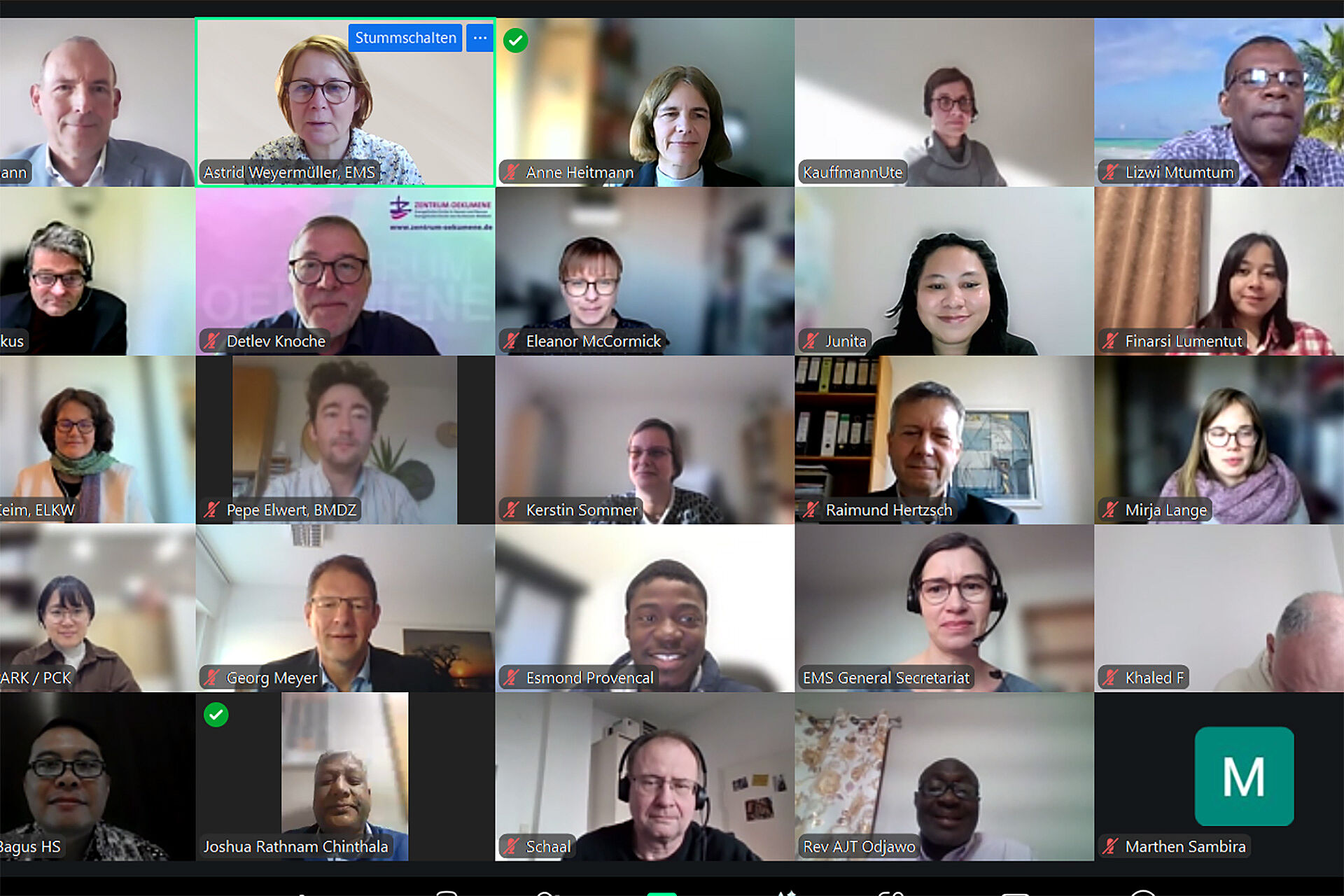 Screenshot von einer Online-Konferenz im Rahmen des EMS Missionsrats